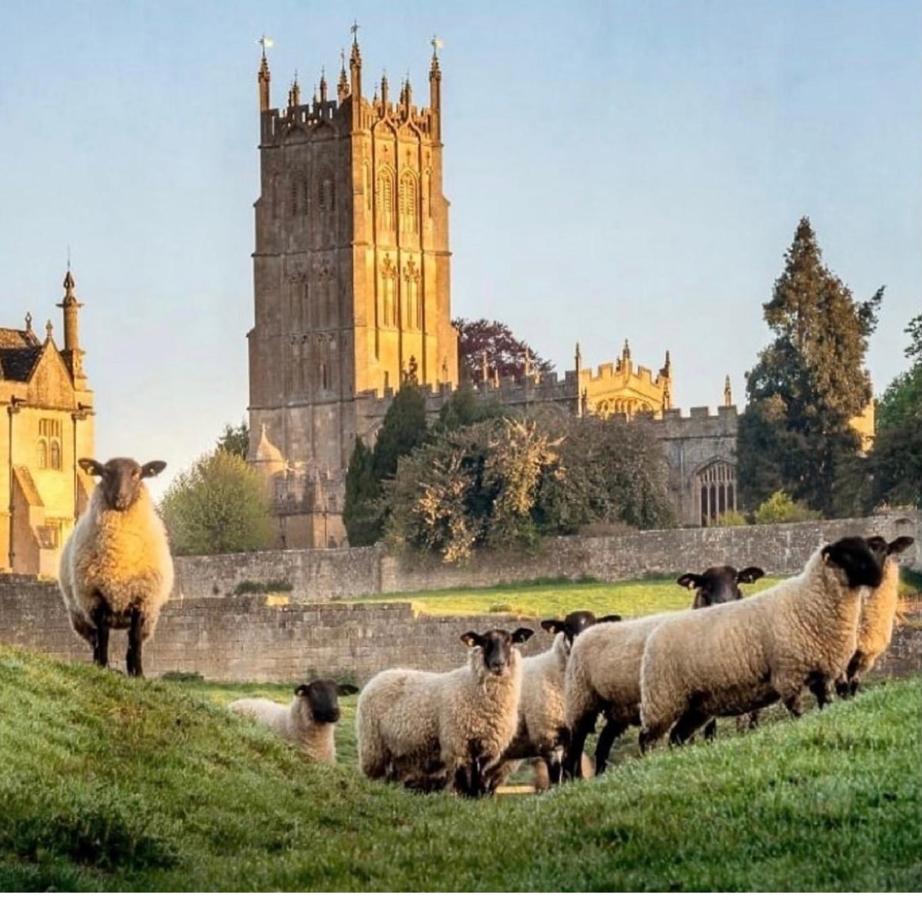 Vine Cottage Chipping Campden Εξωτερικό φωτογραφία